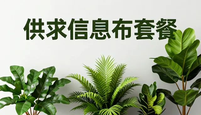 企业名录维护如何提升信息有效性